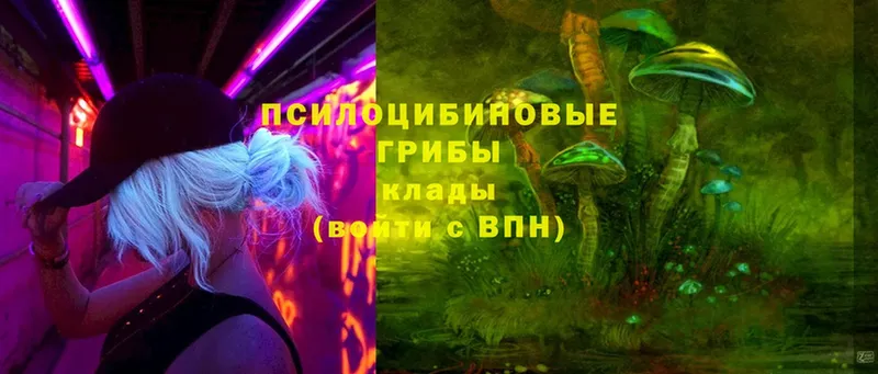 где продают   Костомукша  кракен ONION  Галлюциногенные грибы Magic Shrooms 